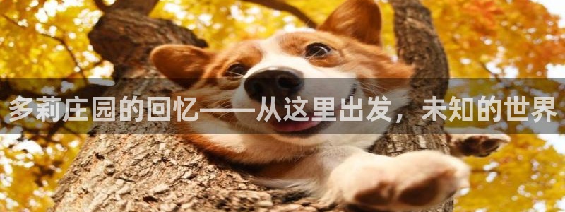 天辰娱乐输了
