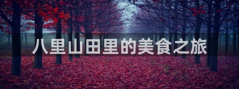 天辰娱乐直属