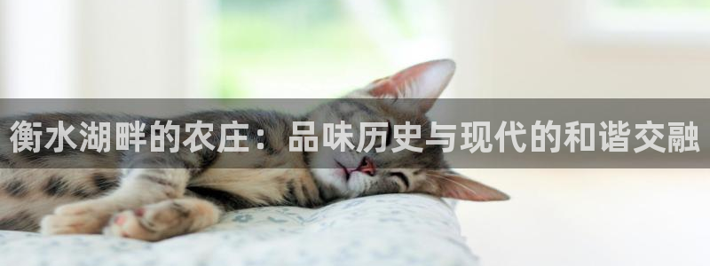 天辰娱乐10086