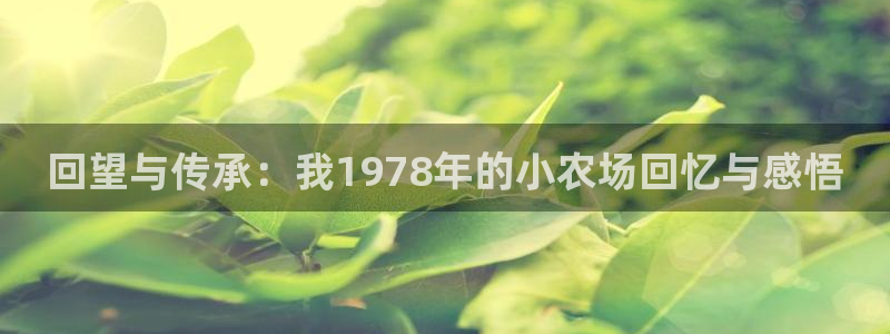 天辰娱乐信誉
