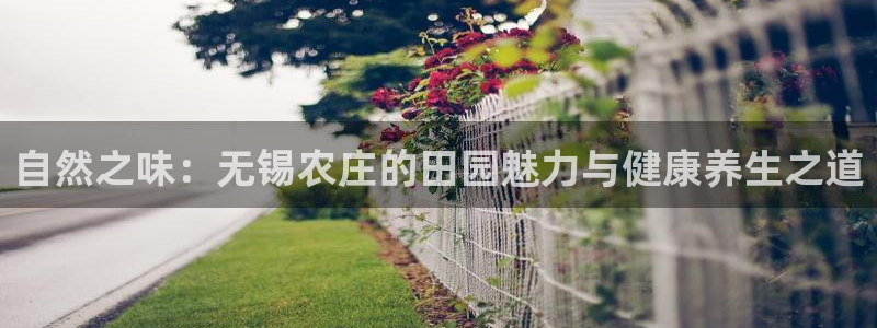 天辰娱乐下载地址