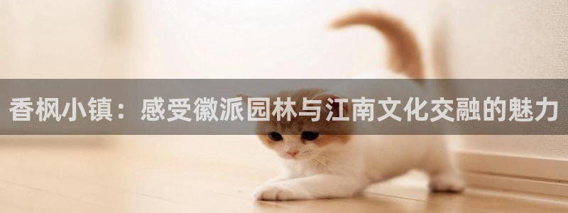 天辰娱乐网