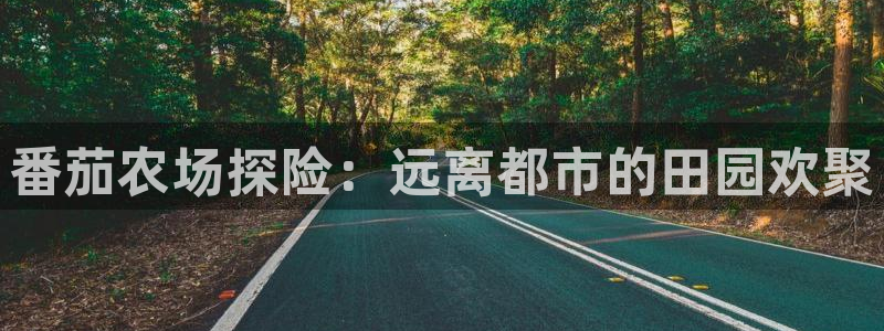 天辰娱乐游戏平台怎么样