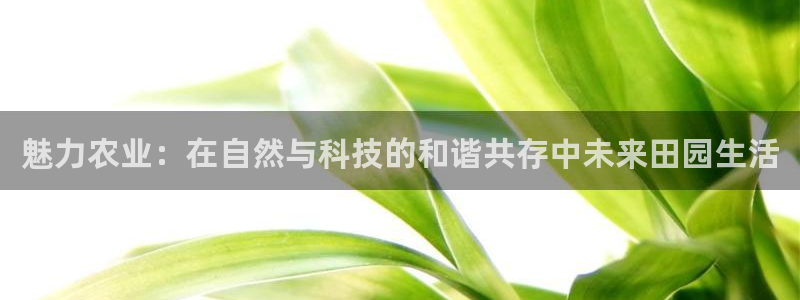 大同天辰娱乐