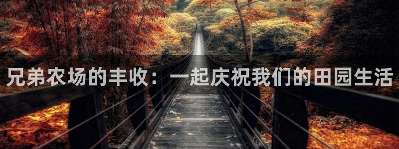 天辰在线娱乐