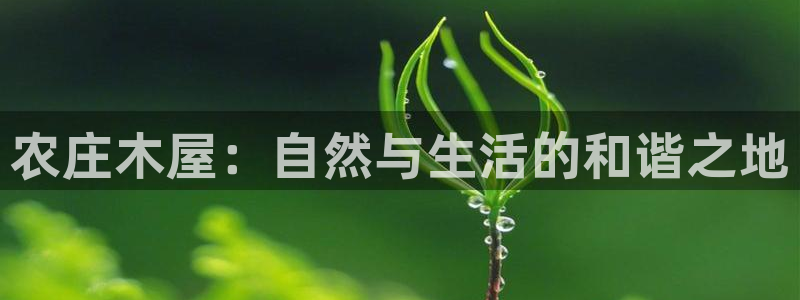 天辰娱乐挂机