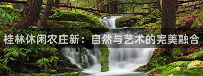 天辰国际娱乐