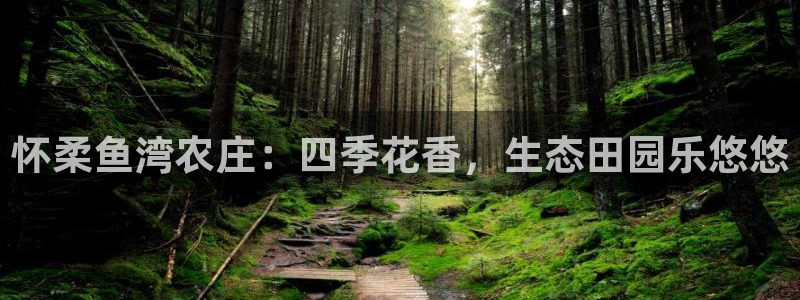 北京天辰娱乐
