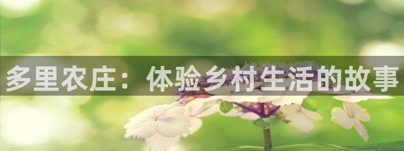天辰娱乐_675138