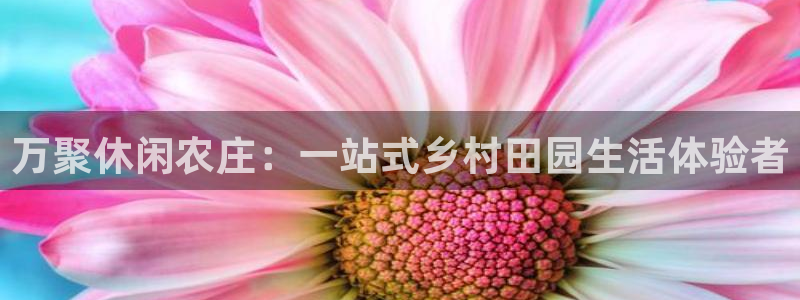 广东天辰娱乐
