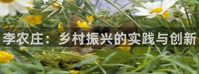 天辰娱乐网址娱乐游戏