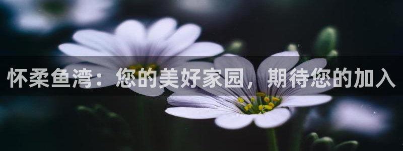 天辰娱乐新闻