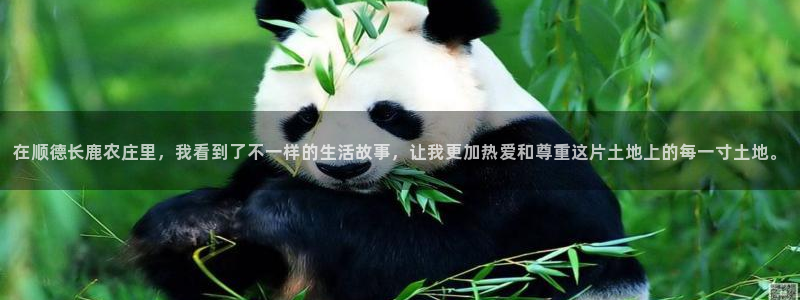 天辰娱乐登陆