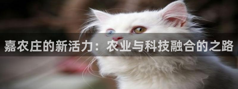 天辰娱乐官方网