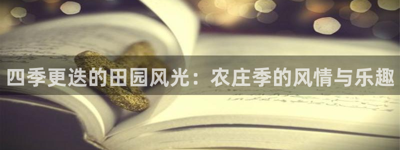 天辰娱乐国际
