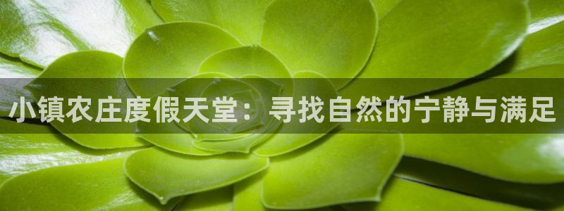 天辰说娱乐