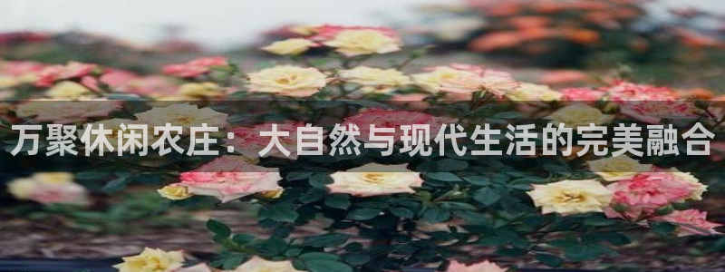 天辰平台娱乐