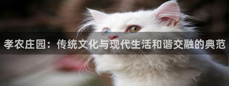 天辰娱乐怎么样