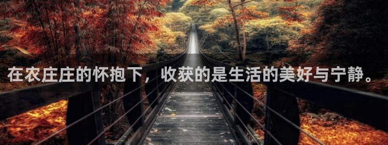 天辰娱乐路线