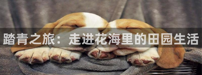 天辰娱乐测试