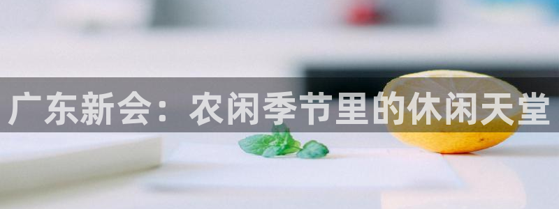 天辰辰娱乐代理