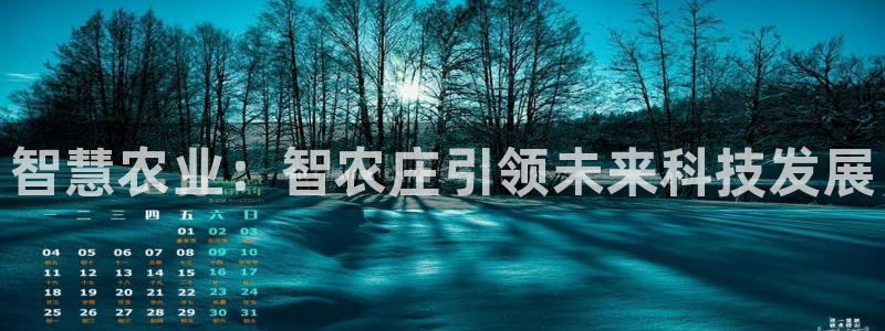 天辰娱乐675138