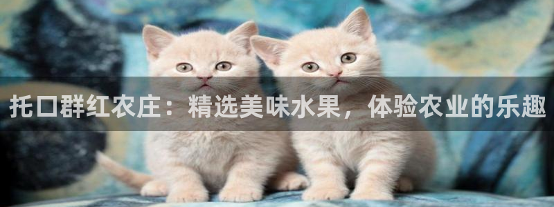 天辰娱乐会所