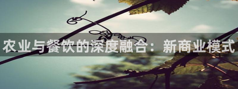 天辰娱乐2