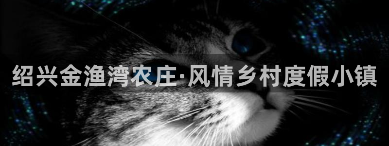 天辰娱乐 qq