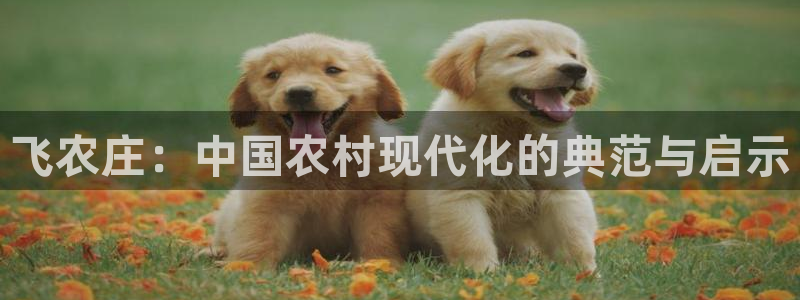 天辰娱乐股东