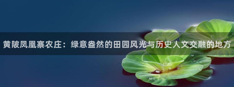 菲律宾天辰娱乐