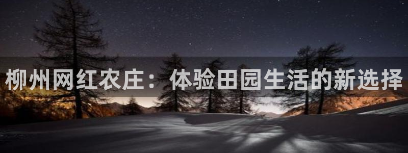 天辰娱乐平台入口