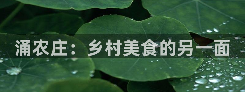 天辰娱乐分红