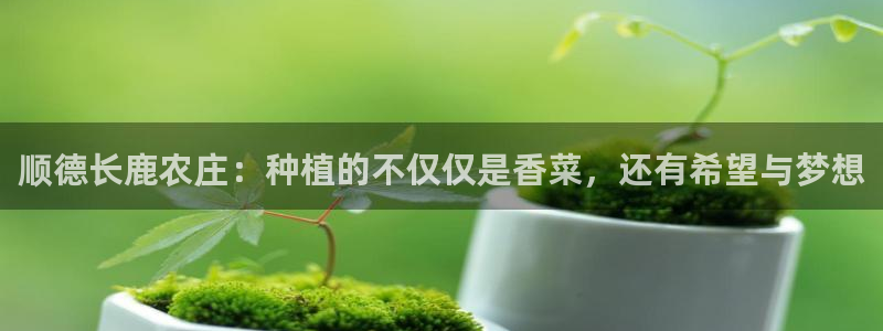 天辰娱乐