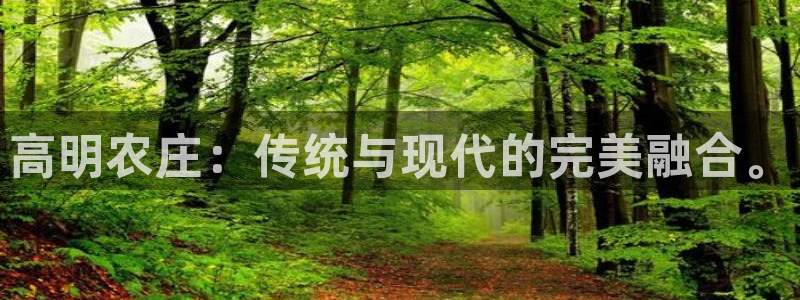 天辰娱乐下载链接