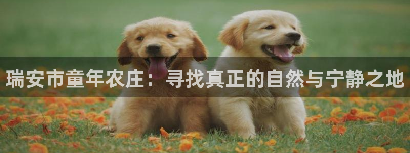 天辰娱乐下载