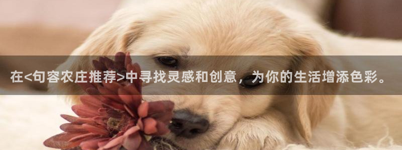 天辰娱乐平台靠谱么