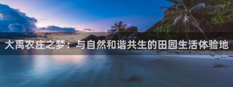 天辰娱乐2