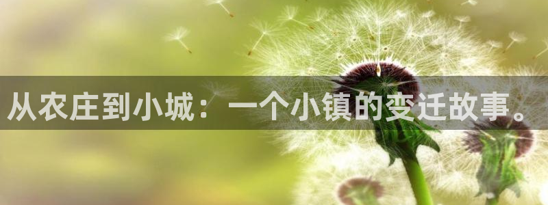 天辰娱乐网