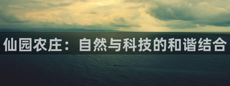 天辰娱乐下载链接
