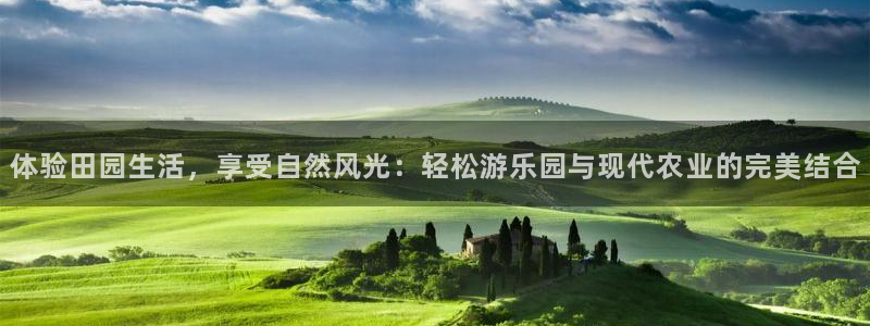 天辰娱乐平台地址