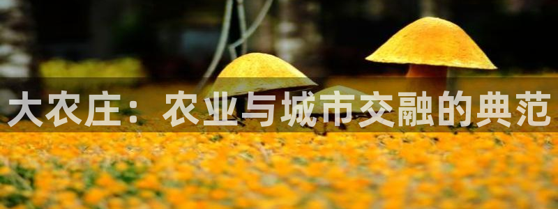 天辰娱乐平台地址