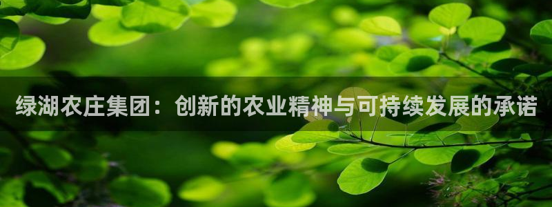 天辰娱乐文案