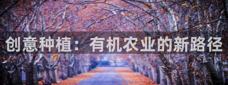 大庆天辰娱乐