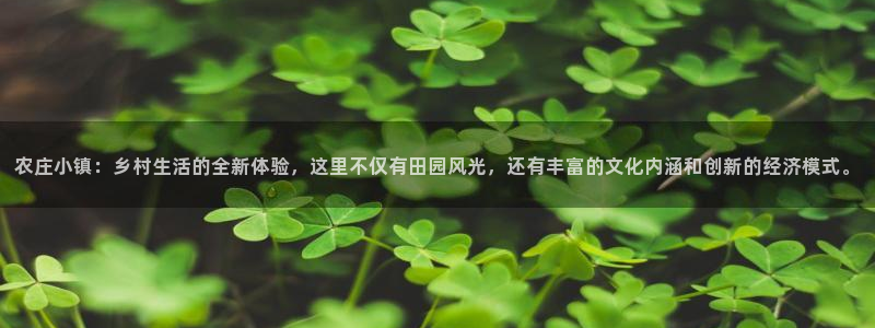天辰娱乐所