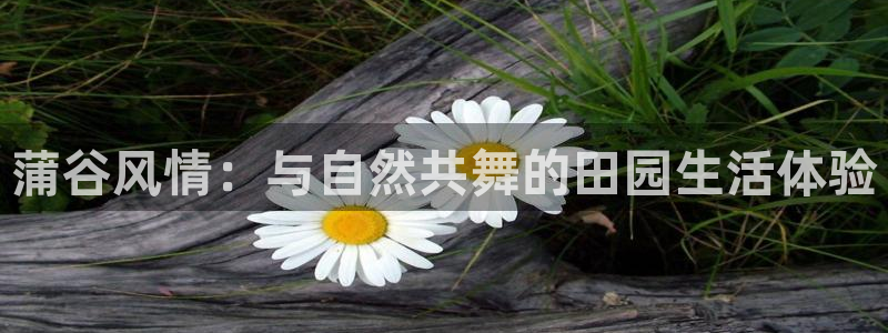 天辰娱乐测试
