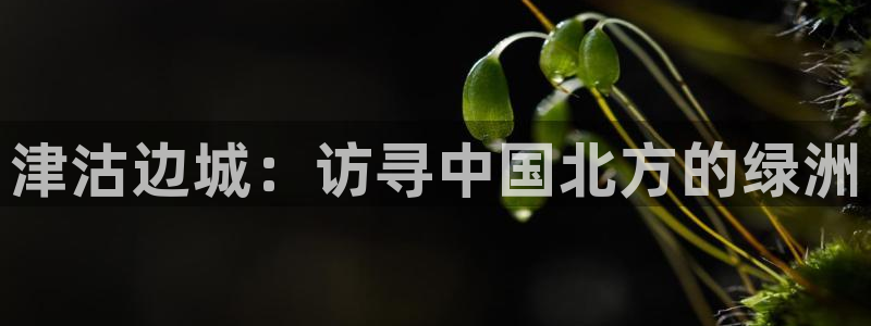 天辰娱乐论坛
