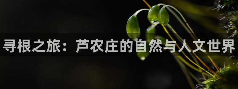 天辰娱乐60447