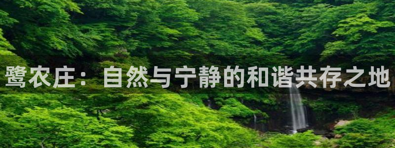 天辰娱乐 18113