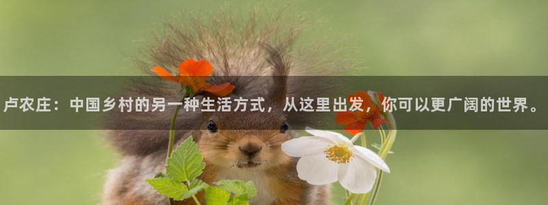 天辰娱乐传媒